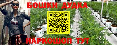 PSILOCYBIN Славгород