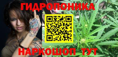 эйфоретик Сланцы